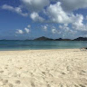 Meet your Posher, Alison